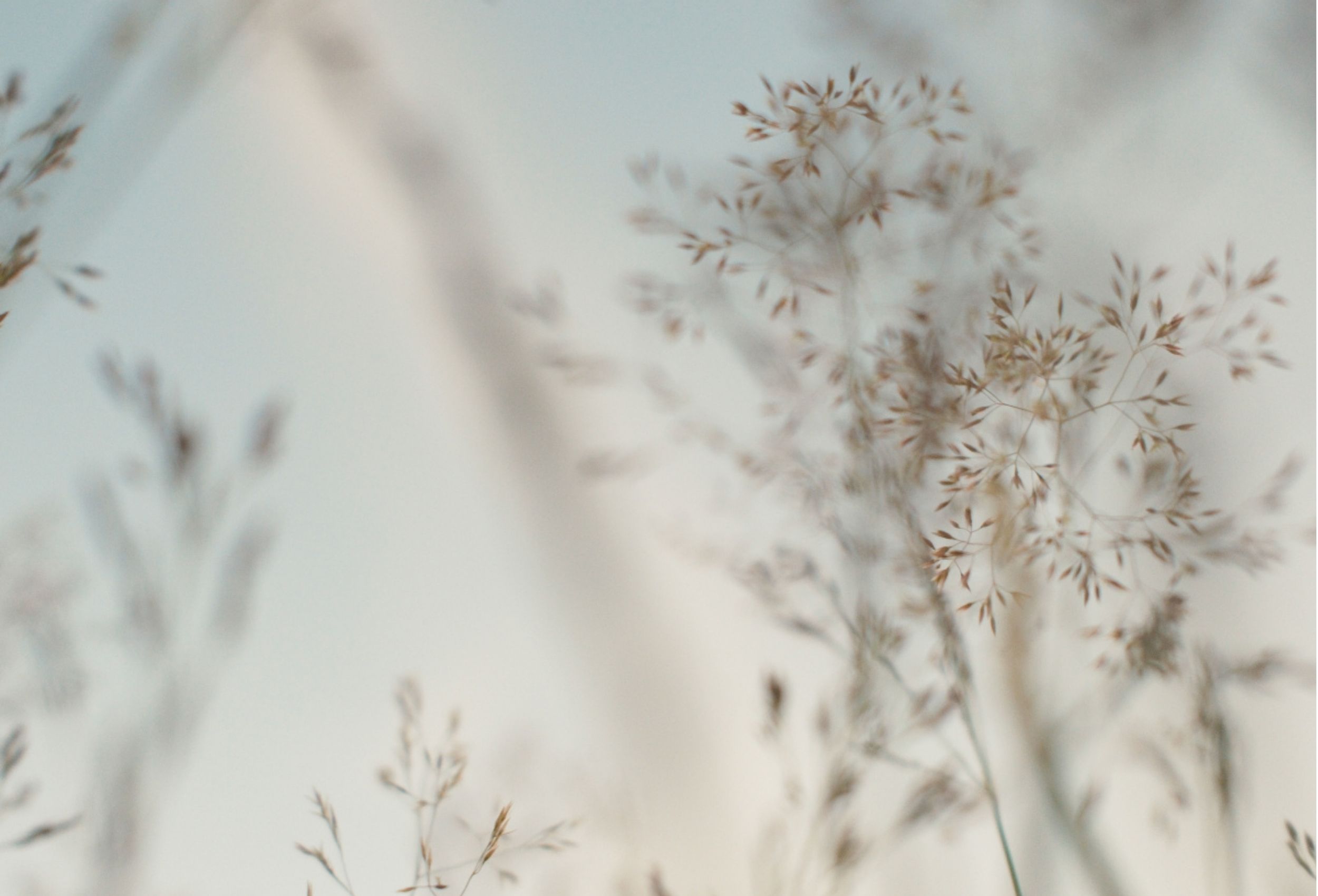 Grieving with Barakah: Finding Healing Through Faith